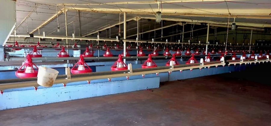 Commercial Property for Sale in Bainsvlei Free State